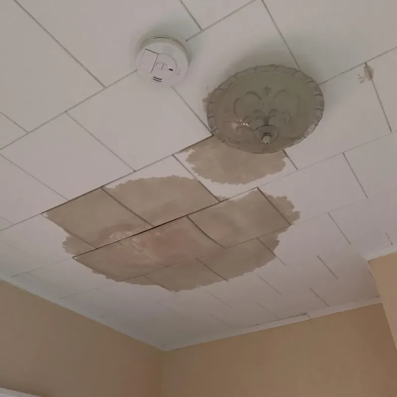 Ceiling Water Damage Repair in Nelson County, ND