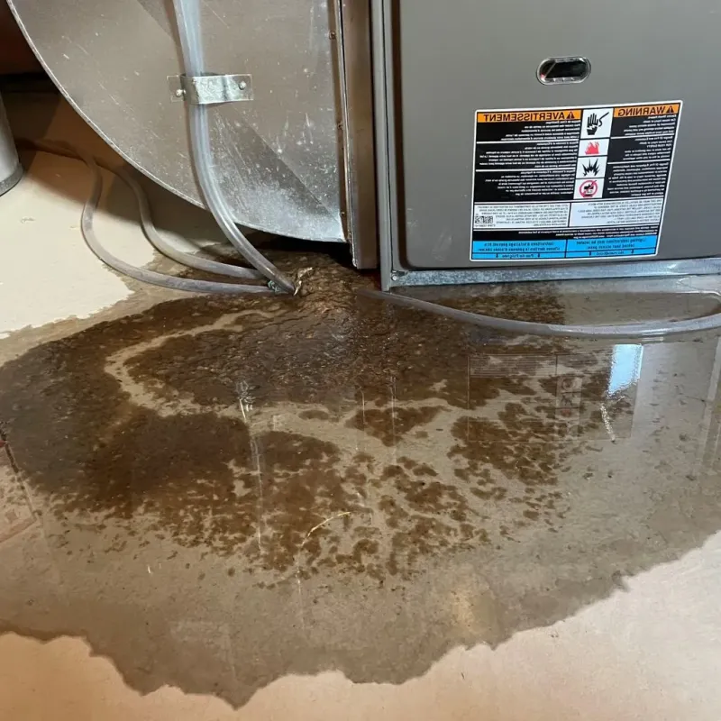 Pipe Burst and Leak Restoration in Nelson County, ND