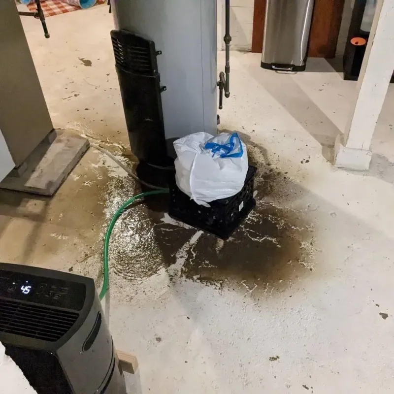 Sewage Backup Cleanup Service in Nelson County, ND